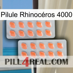 Pilule Rhinocéros 4000 27